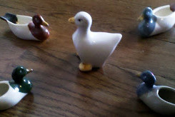 Duckies.jpg