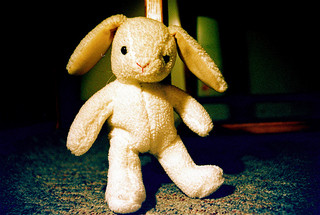 Stuffed Velveteen Rabbit