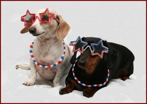 4th of july dachsunds with star sunglasses and beads