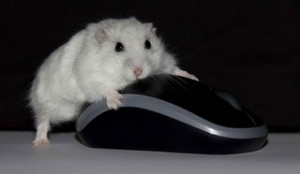 Click-it! No, not me. Your mouse!. Then, enjoy your read.