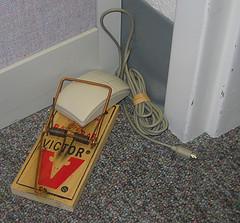 mouse-in-trap.jpg