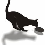Black-cat-and-computer-mouse-150x150.jpg