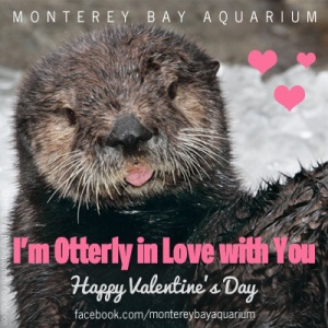Monterey Bay Aquarium shares the love with their donors.