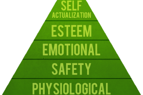 maslow-s-hierarchy-of-needs-300x196.png