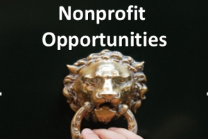 5PowerfulNonprofitOpportunities-300x300.png