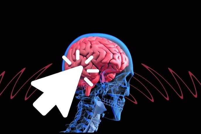Image of brain
