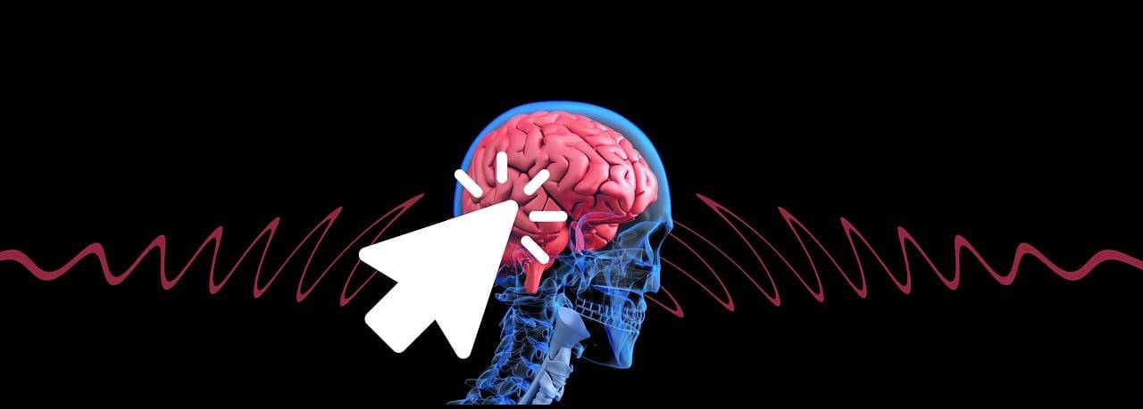 Image of brain