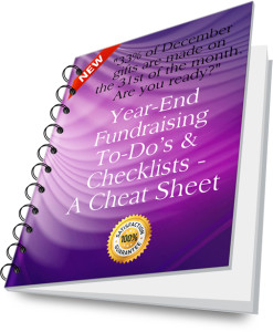 You'll find 62 pages filled with year-end fundraising tips in this Solution Kit!