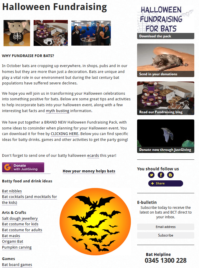 Halloween Appeal Bats Conservation Trust