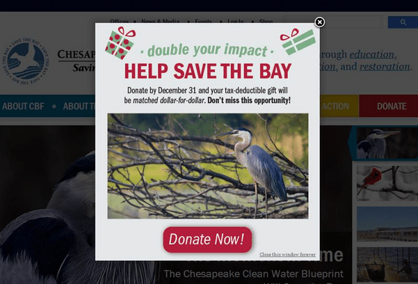 Donation Light Box Cheasapeake Bay