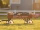 Boy and Little Red Wagon