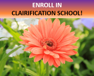 clairification_school_flower