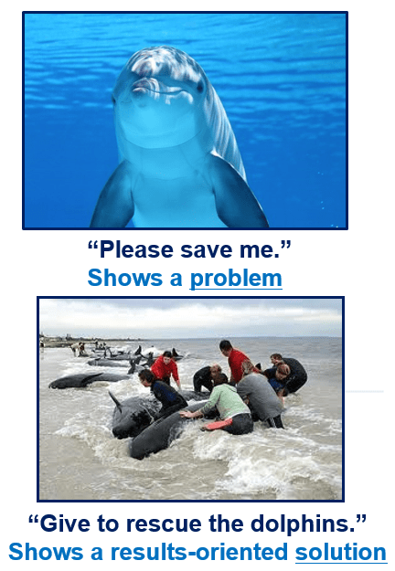 Dolphins need rescue