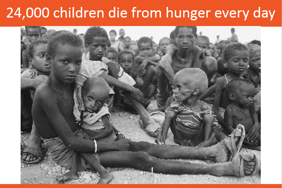 24,000 die from hunger daily