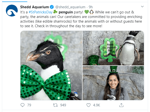Shedd Aquarium St. Patrick's Day tweet