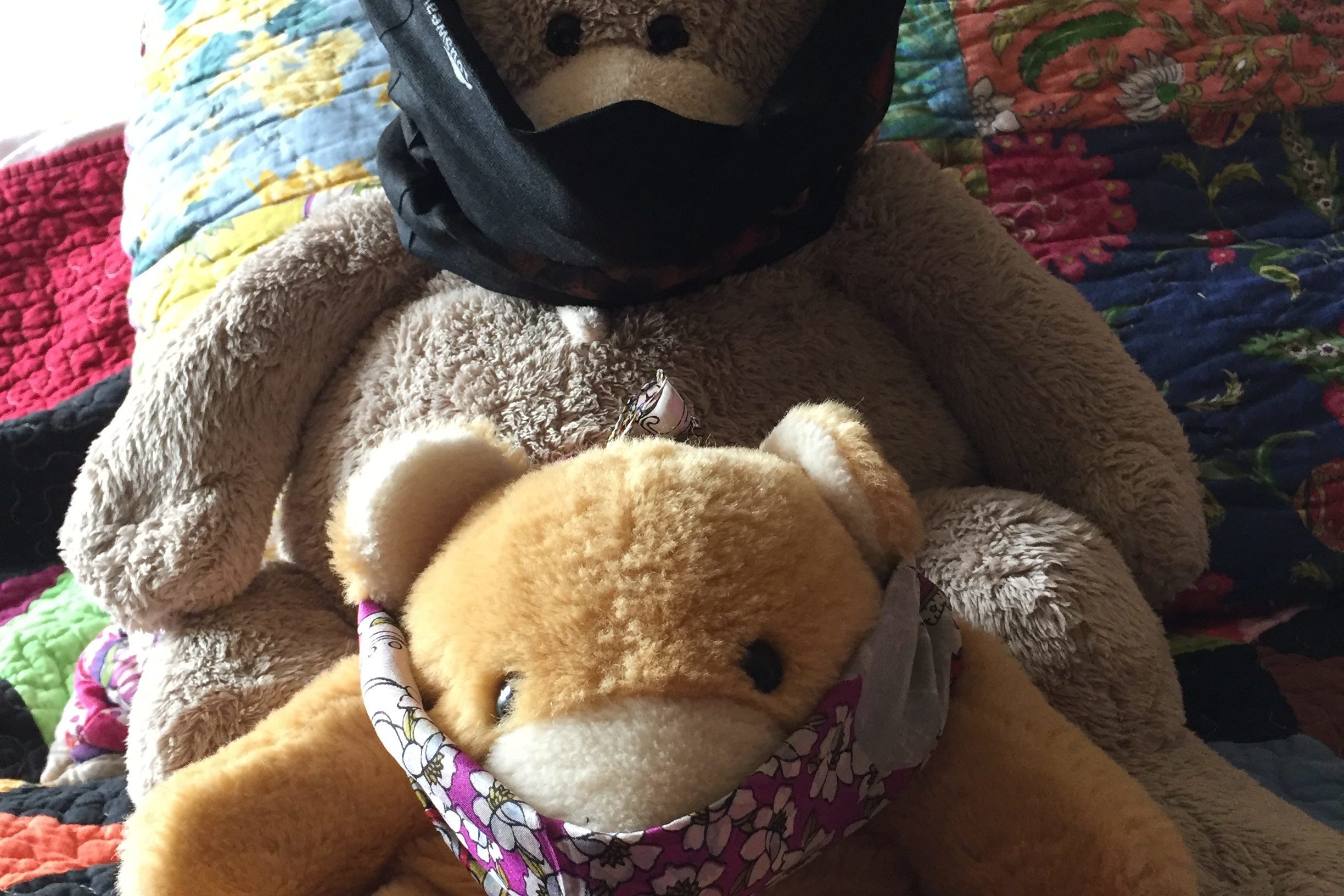 Two bears wearing face coverings