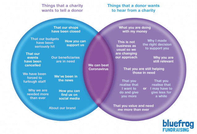 Research Graph, Blue Frog, What Donors Want
