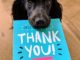 Donor Thank You card delivered by puppy dog