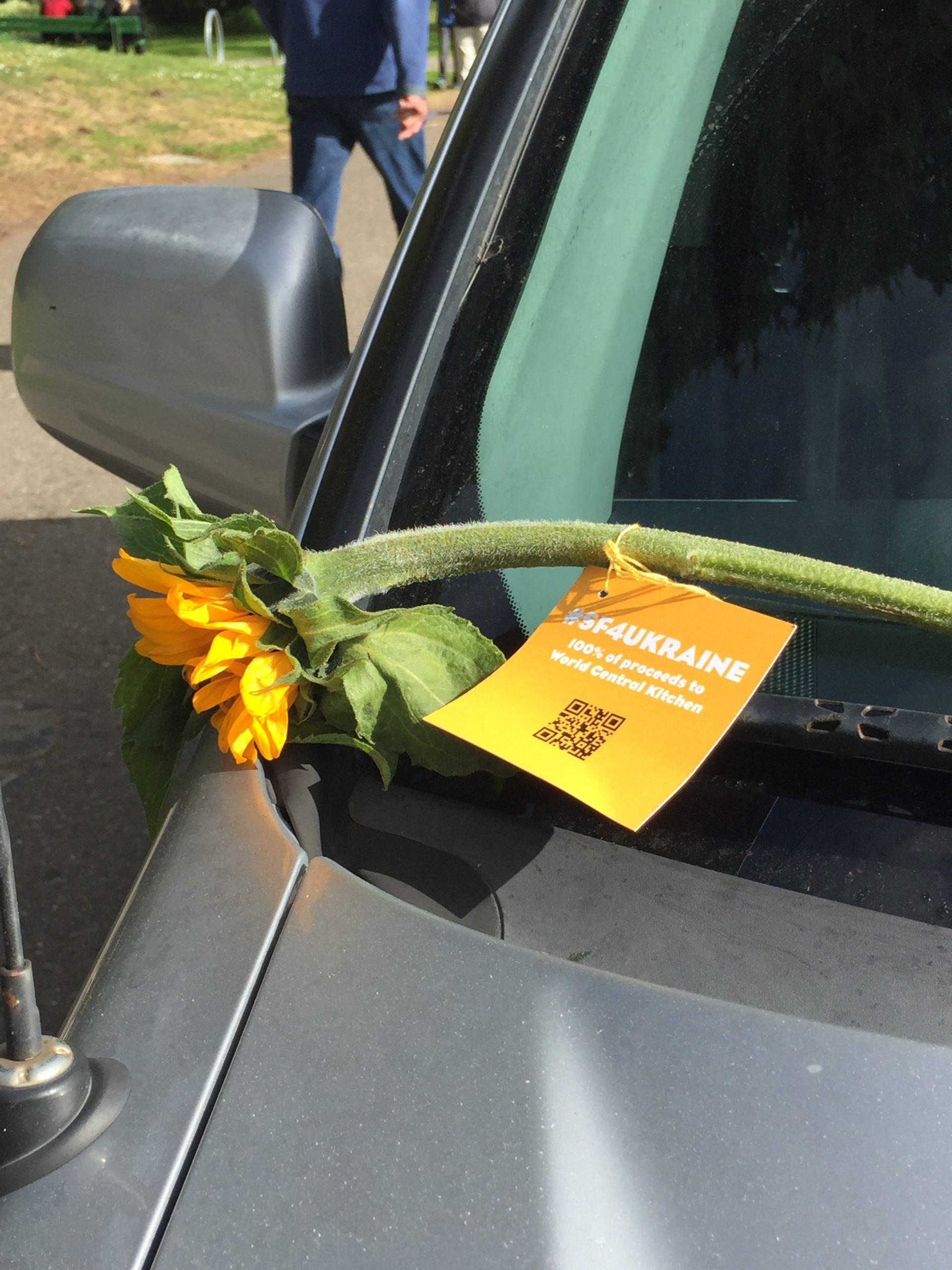 Sunflower on windshield, with QR code attached