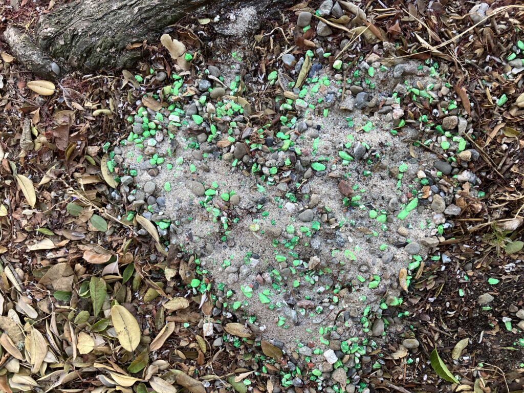 Pebbles in a heart shape, amidst leaves and dirt.