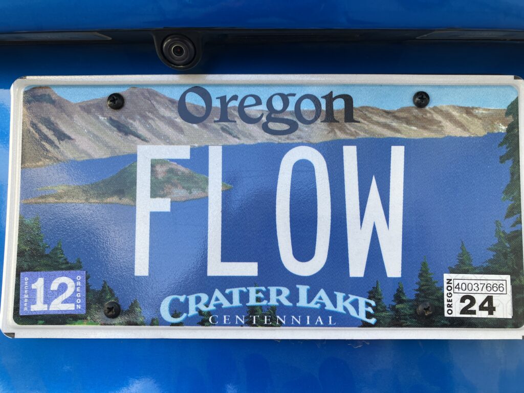 "FLOW" license plate