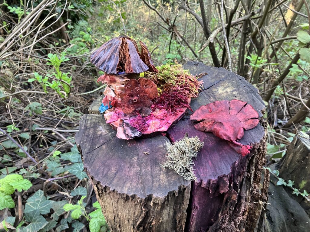 Fairies making a home on a tree stump.