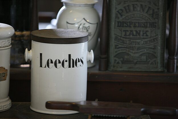 Leeches