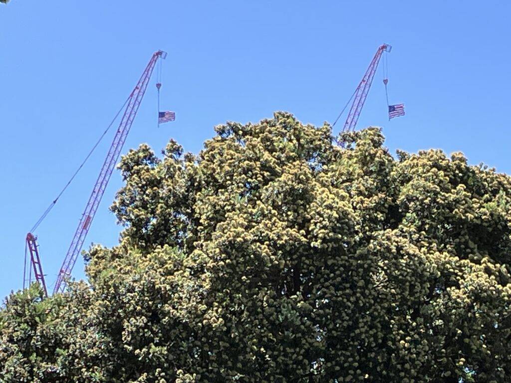 Construction cranes decorated with flags for Independence Day