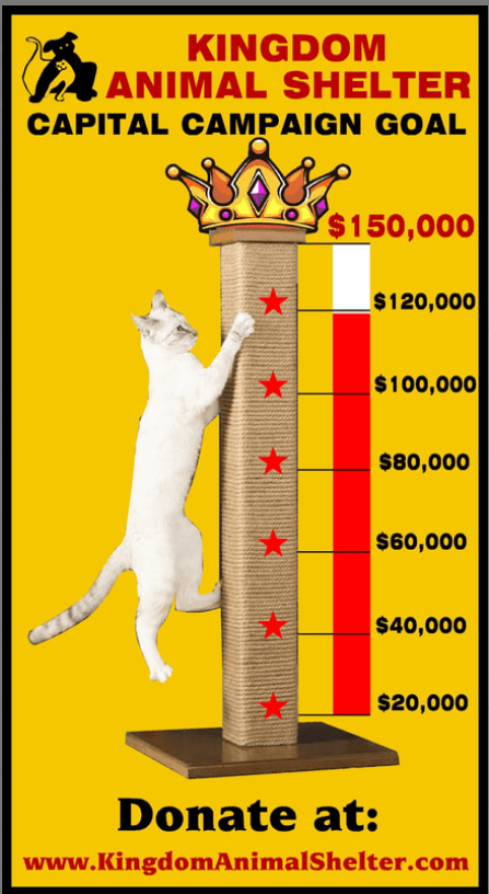Fundraising thermometer example: Kingdom Animal Shelter