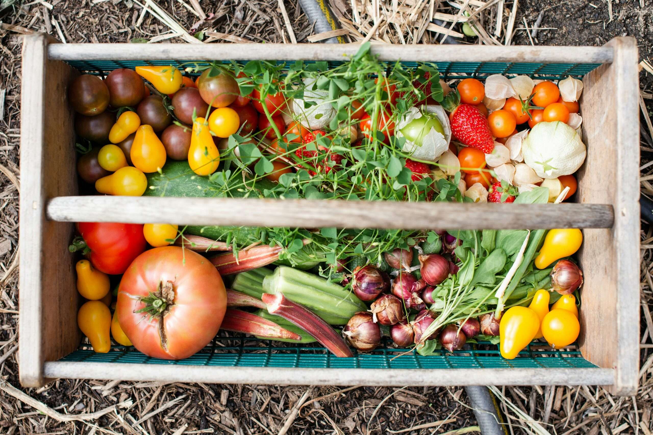 basket of produce zoe-richardson-unsplash basket of fresh produce