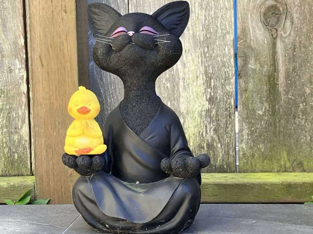Namaste.